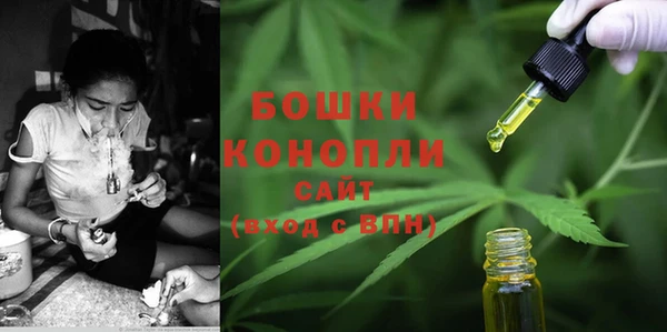 дурь Шали