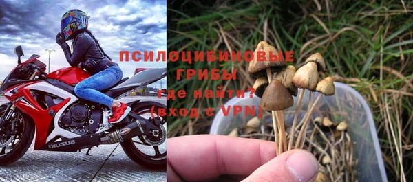 герыч Ельня