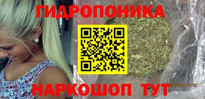 СК Пушкино