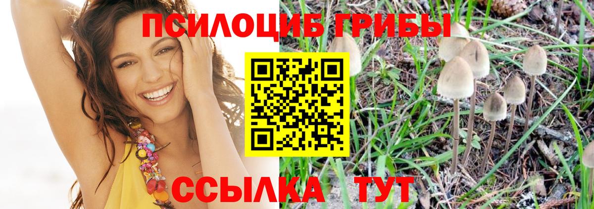 Галлюциногенные грибы MAGIC MUSHROOMS  Вход с VPN  Шатура 